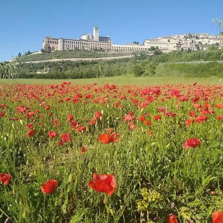 Casetta Delle Rose أسيسي المظهر الخارجي الصورة