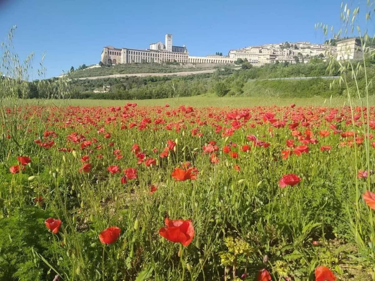 Casetta Delle Rose أسيسي المظهر الخارجي الصورة